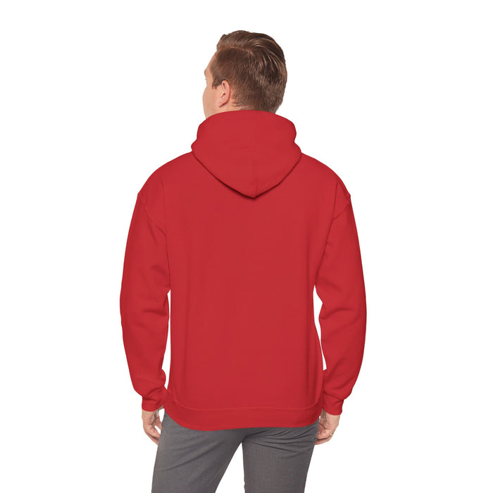 I Don't Slow Down. I Recalibrate: Unisex Heavy Blend™ Hooded Sweatshirt
