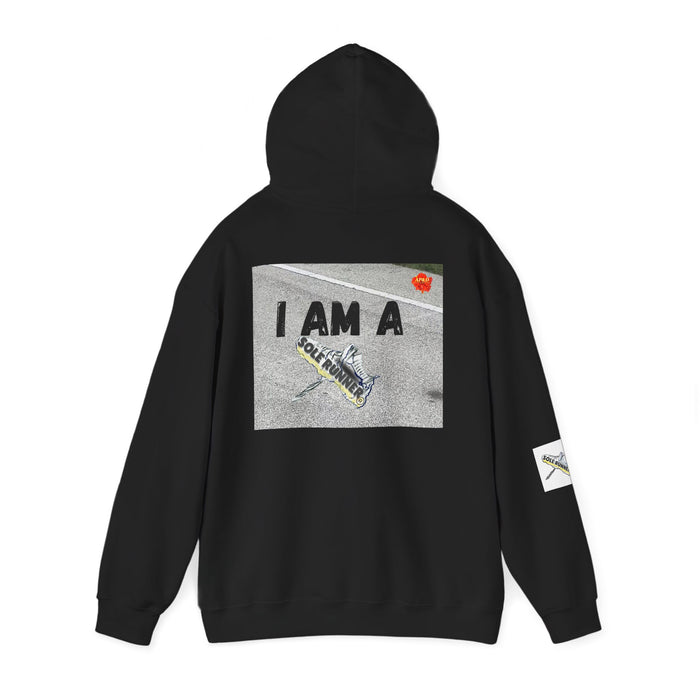 I Run I Walk I Slay Miles-Whimsical Moisture Wicking Hoodie For Runners