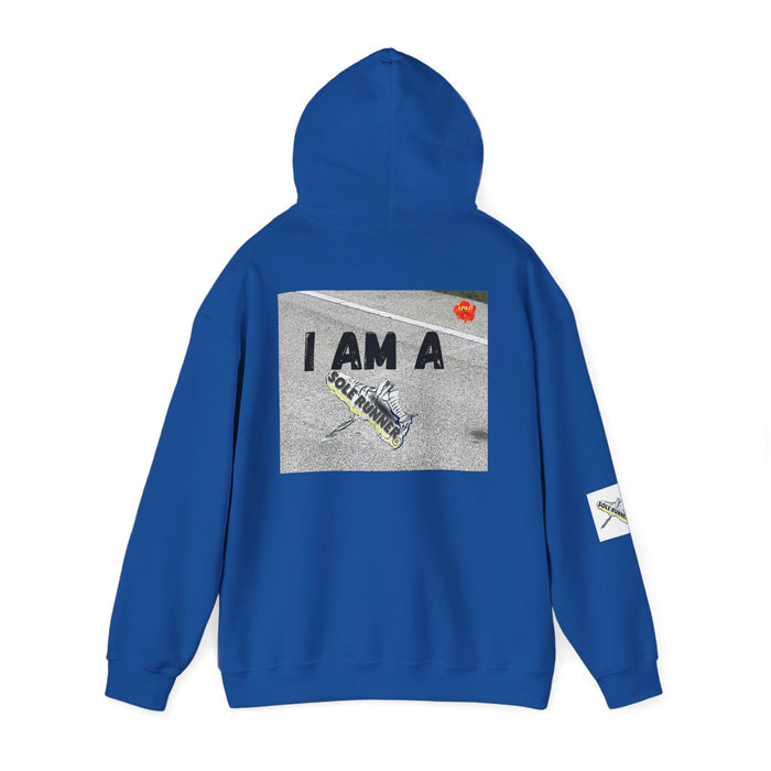 I Run I Walk I Slay Miles-Whimsical Moisture Wicking Hoodie For Runners