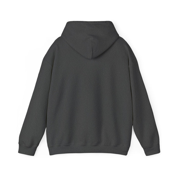Don't Let My Looks Fool You. I Run Marathons: Unisex Heavy Blend™ Hooded Sweatshirt