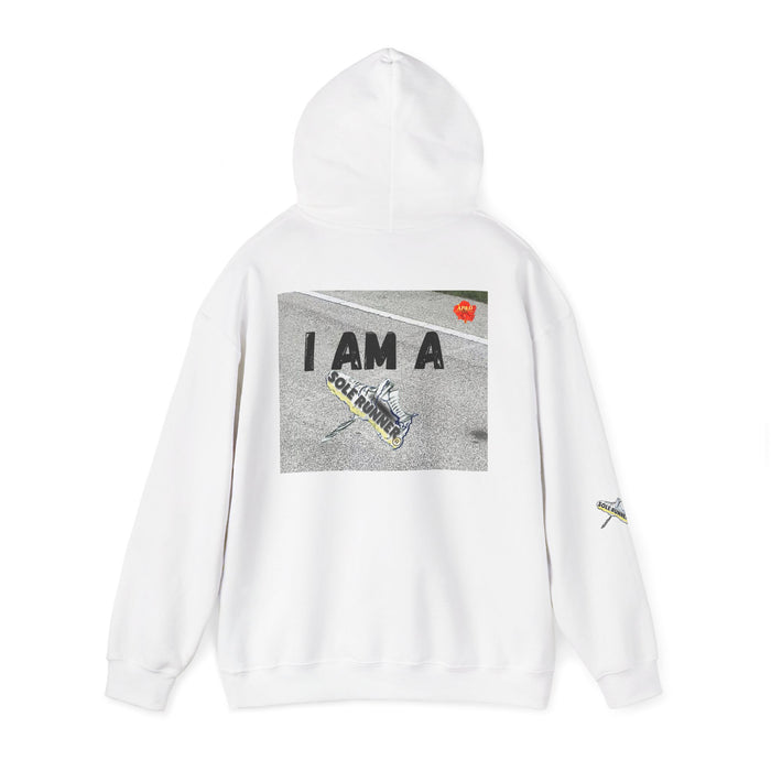 I Run I Walk I Slay Miles-Whimsical Moisture Wicking Hoodie For Runners