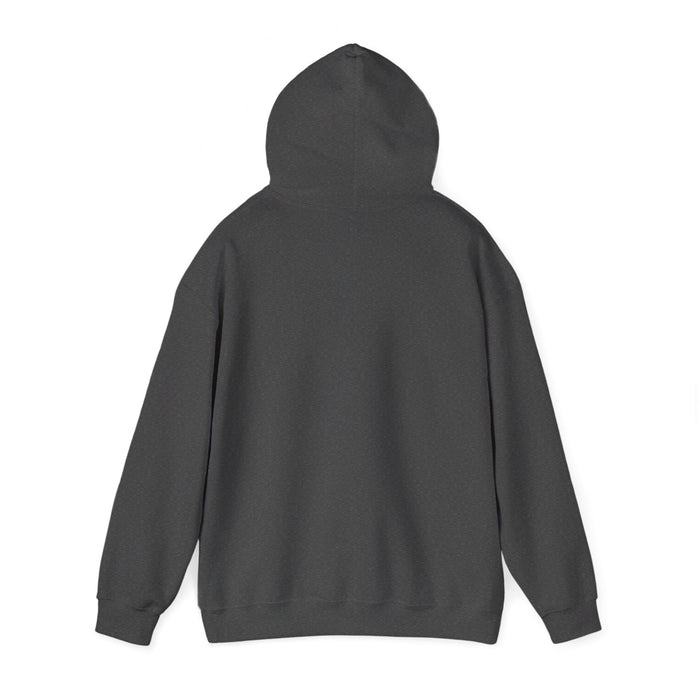 Don't Let My Looks Fool You. I Run Marathons: Unisex Heavy Blend™ Hooded Sweatshirt