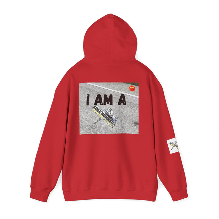 I Run I Walk I Slay Miles-Whimsical Moisture Wicking Hoodie For Runners
