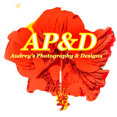 AP&D Logo